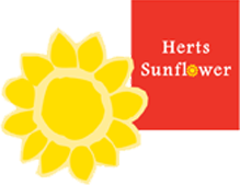 Trasnparent sunflower logo